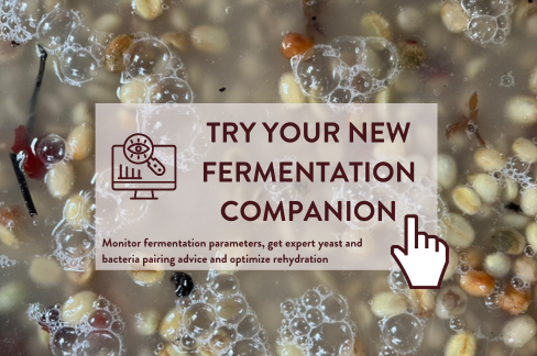 Your New Fermentation Companion